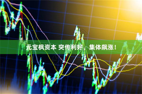 元宝枫资本 突传利好，集体飙涨！