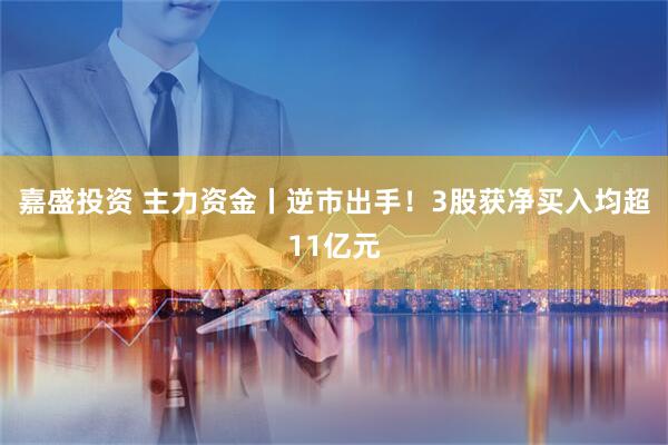 嘉盛投资 主力资金丨逆市出手！3股获净买入均超11亿元
