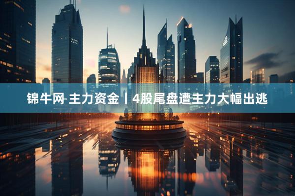 锦牛网 主力资金丨4股尾盘遭主力大幅出逃