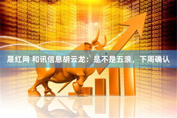 晟红网 和讯信息胡云龙：是不是五浪，下周确认