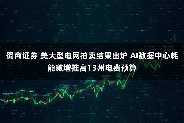 蜀商证券 美大型电网拍卖结果出炉 AI数据中心耗能激增推高13州电费预算